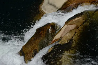 DSC_3804 (Large).JPG